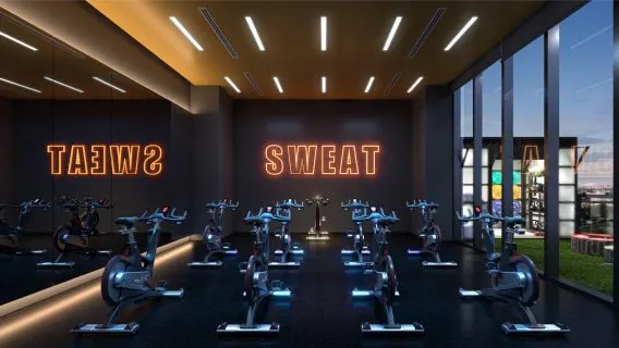 Estudio de Spinning